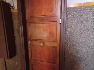 Portes palières en chêne massif