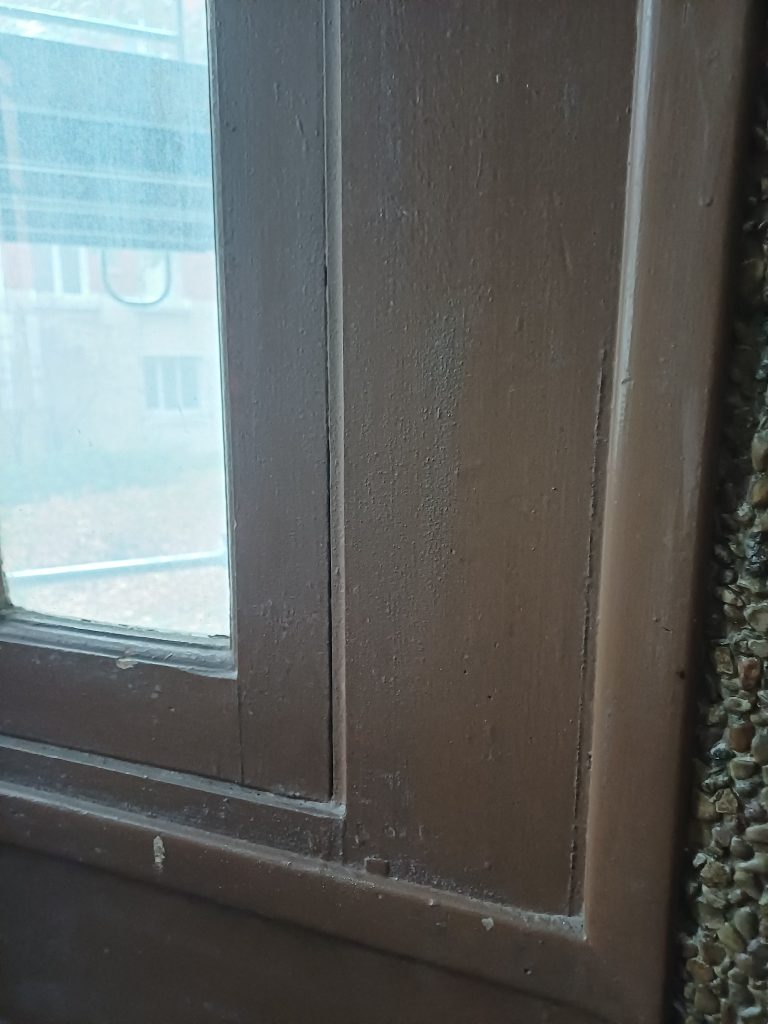 Fenêtre en bois avec vitrage transparent